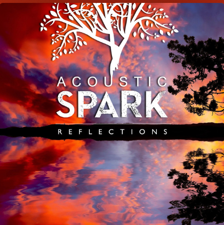 ACOUSTIC SPARK