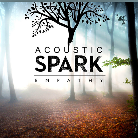 ACOUSTIC SPARK